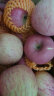 佳农 烟台红富士苹果 5kg装 一级果 单果重160g以上 新鲜水果礼盒 晒单实拍图