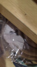 IQGD夏季沙滩拖男人字拖可折叠旅行折叠拖轻便户外便携式酒店居家 灰色 44-45 实拍图