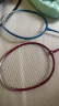红双喜DHS羽毛球拍对拍2支装实惠训练羽拍双拍209/219(含手胶羽毛球) 实拍图