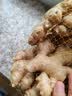 褚系严选【有机小黄姜】云南高山生姜 新鲜现挖 月子老姜 蔬菜调味食材   【有机鲜姜】1000g 实拍图