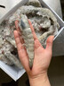 鲜京采 鲜冻大号黑虎虾 去冰净重2斤 31-40只/盒 斑节对虾 实拍图