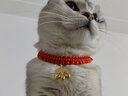 柒哦猫咪项圈长命锁新年装饰编织猫围脖项链宠物脖子配饰脖圈铃铛饰品 长命锁-有声【安康好运】 猫狗通用（17-32cm）可调节项圈 实拍图