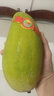 芒果新鲜海南大青芒三亚特大水果整箱金煌应季当季青芒果时令 10斤 精品大芒果 实拍图