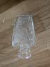 梵冈尬蒂北欧精致迷你玻璃花瓶水养鲜花装饰小花瓶感花器摆件 小方钻 实拍图