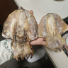 Simaill淡干大墨鱼干500g穿竹大墨鱼非淡水海产干货乌贼干煲汤墨鱼目鱼 500g约1-6只大墨鱼干 实拍图