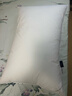 康尔馨希尔顿五星级酒店枕头 抗菌纯棉纤维枕成人家用单人枕头芯 白色 中高枕(74*48cm) 单只 实拍图