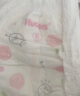 好奇（Huggies）铂金装成长裤XL64片(12-17kg)加大号婴儿尿不湿小桃裤超薄透气 晒单实拍图