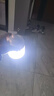 光纪 夜市摆摊充电照明灯超亮LED超长续航地摊灯移动挂灯户外露营灯 150W白光【5档防雨】7-48小时照明 实拍图