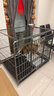 憨憨宠 狗笼 狗笼子中大型犬小型犬带厕所加粗加固金毛拉布拉多方管笼子 黑浮银126*94*110CM含轮高度 120斤内适用 实拍图
