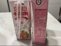 宾格瑞草莓牛奶 韩国原装进口牛奶 儿童学生早餐奶200ml*6 晒单实拍图
