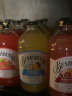 宾得宝（Bundaberg）含气菠萝椰子味饮料 澳州原装进口 375ml*6瓶装 发酵果汁气泡水 实拍图