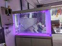 森森（SUNSUN）鱼缸水族箱含鱼缸过滤器灯大型金鱼缸 宝马灰 时尚款1米长34.6cm宽底滤 带棉+滤材 实拍图