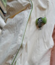 有棵树【成毅同款】植物停螨衣睡衣女夏季抑螨抗菌纯棉短情侣家居服套装 实拍图