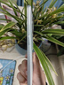 HONOR新品5G旗舰手机X60十面抗摔防水一亿像素AI影像自然护眼超 月影白【8GB+256GB】 官方标配【蓝牙套装延保2年】 实拍图