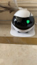 enabot ebo Air机器人家庭监控老人小孩远程逗宠双向通话宠物AI智能玩伴 EBO AIR家庭守护机器人 晒单实拍图