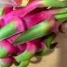 京鲜生越南进口白心火龙果 2个装  大果  单果约550-650g 生鲜水果 实拍图