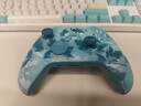 微软（Microsoft）Xbox游戏手柄 无线控制器 新品 冰霜之影 特别版 蓝牙 适配Xbox/PC/平板/手机 丝之歌 空洞骑士 实拍图