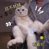 铂呐苓猫项圈项链狗狗宠物长命锁猫咪项链铃铛挂绳狗牌猫牌饰品 宠物项链【红绳-小金锁】M码 实拍图
