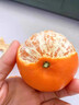 广西武鸣沃柑2025橘子新鲜水果当季一级沙糖蜜橘砂糖柑橘大果 中果(单果径60-65mm) 净重3斤 实拍图