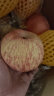 农鲜淘 洛川红富士苹果 8斤单果200g+ 陕西脆甜新鲜水果生鲜 源头直发 晒单实拍图