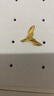 周六福（ZLF）  黄景瑜同款黄金吊坠瑜见系列鲸鱼尾挂坠鲸遇 计价 单吊坠不含链 - 2.71g 实拍图