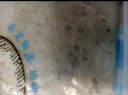 海天下 冷冻小银鱼180g 水产鲜美 海鲜 生鲜鱼类  辅餐食 实拍图