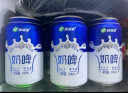 西域春新疆风味 奶啤 300ml*12罐 聚会畅饮 乳酸菌饮料风味奶礼盒 实拍图