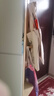 唯博思实木穿衣镜全身镜子落地镜一体家用卧室可旋转衣帽架多功能置物架 原木色【B58底盘款40cm】 实拍图