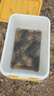 千峰剑（QIANFENGJIAN）海竿套装钓鱼竿装备全套一套超轻鱼竿海杆抛竿矶竿远投竿品牌渔具 2.1m 【3套】3轴200渔轮套装 实拍图