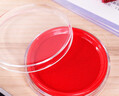 得力（deli）【超级爆款】φ82mm透明圆形财务快干印台印泥 办公用品 红色9863 实拍图