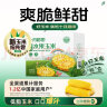 十月稻田 23年新玉米 水果玉米 1.76kg (8穗) 即食甜玉米棒 低脂 真空包装 晒单实拍图