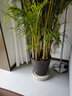 环球 花盆特大号 阳台室内办公室圆形花盆大型绿植种植盆大口径 仿藤编盆13寸-口径32.5cm 实拍图