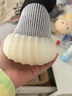 阿迪达斯YEEZY350条纹斑马椰子夏日透气男女休闲鞋IG9608 40 实拍图
