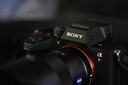 索尼（SONY） ILCE-7RM5 全画幅微单数码相机 双影像画质旗舰 （ILCE-7RM5/A7R5/A7RM5）打鸟 FE24-50F2.8 套装 官方标配 实拍图