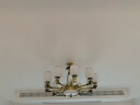 雷士（NVC）吊灯新中式客厅吊灯国风国潮原木色锌合金灯具装饰WHDD10A+9-002 晒单实拍图