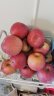 源外 新疆大漠冰糖心苹果 10斤带箱优选果 新鲜水果脆甜红富士丑苹果 优选中果（约22个左右） 晒单实拍图