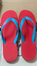 hippobloo河马泰国进口乳胶人字拖男女舒适防滑橡胶凉拖鞋海边沙滩ins潮拖 兰红兰 44 (泰12)【正码正拍】 实拍图