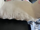 南极人（Nanjiren）床头靠背靠枕床上大靠垫软包垫榻榻米沙发抱枕腰颈枕座椅护腰靠垫 W拥抱灰猫【独立内胆方便拆洗】 大号（75x50x25cm）含头枕 实拍图