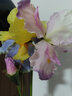 掬涵仿真鸢尾花梵高爱丽丝软装饰摆放假花高级感客厅室内花艺造型摆件 鸾(80cm) 实拍图