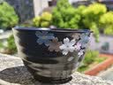 古杰士三丽鸥樱花饭碗日式陶瓷家用复古碗盘子高颜值个人专用精致米饭碗 4.5英寸樱花饭碗（单个装） 实拍图