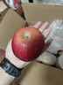 京鲜生 塞外红阿克苏苹果礼盒 净重10斤 果径80-85mm  实拍图