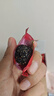 楼兰蜜语红枣黑芝麻丸800g 高钙红枣新疆核桃仁孕妇节日礼盒零食 实拍图