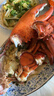 渔传播 鲜活波士顿龙虾 1kg/只 生鲜海鲜虾类 聚餐 源头直发 实拍图