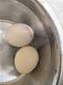 温氏无抗鲜鸡蛋20-40枚 谷物喂养可生食蛋散养富硒土鸡蛋早餐营养蛋 鲜鸡蛋40枚 实拍图