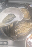 生蚝山东大生蚝鲜活牡蛎肉质肥美净重5斤原产地直发到家 5斤XL【约28-33个】清蒸版 实拍图