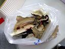 锦礼嘉 玉白菜摆件 招财开业礼品大号金蟾 客厅电视酒柜玄关家居装饰品办公室工艺品摆设 中号镀金款 25cm*16cm*24cm 实拍图