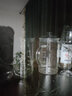 KAIJI LIFE SCIENCES带把手玻璃烧杯高硼硅耐高温带刻度实验室量杯1000ml  1个 实拍图
