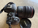 佳能（Canon）RF全画幅微单镜头 专业变焦镜头打鸟 适合R7 RP R10 R5 R6二代 R8 R50 R100微单相机 RF14-35mmF4 L IS USM超广角变焦 官方标配【不含多种滤 实拍图