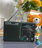 德生（Tecsun） R-909德生收音机全波段半导体多波段老人便携式收音机交流直流电通用户外收音 德生R-909 实拍图