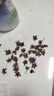 裕同德广西大红八角中药材足干大料无硫大茴香农家散装干货精选香辛料调正非野生品裕同德中草药 八角 正宗八角50克 实拍图